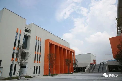 引入名校 長沙這個(gè)片區(qū)教育配套升級(jí)